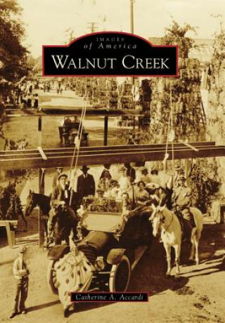 Könyv Walnut Creek Catherine A. Accardi