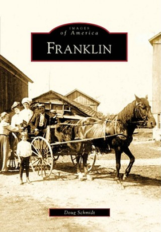 Kniha Franklin Doug Schmidt