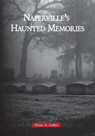 Kniha Haunted Naperville Diane A. Ladley