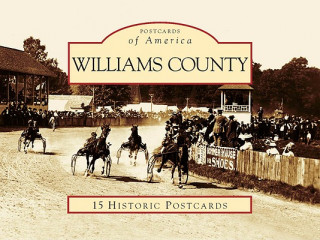 Buch Williams County Kevin M. Maynard