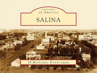 Książka Salina: 1858-2008 The Salina History Book Committee