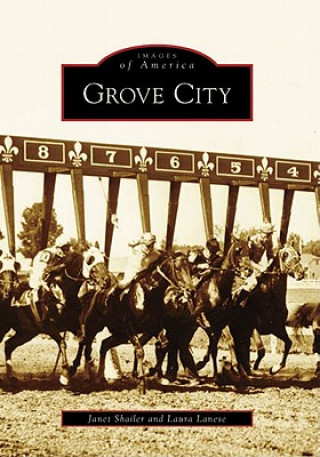 Książka Grove City Janet Shailer