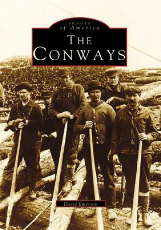 Kniha The Conways David Emerson