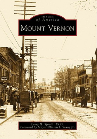 Book Mount Vernon Larry H. Spruill