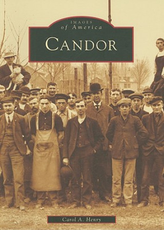 Kniha Candor Carol A. Henry