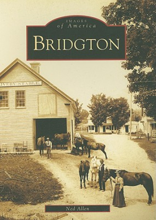 Buch Bridgton Ned Allen