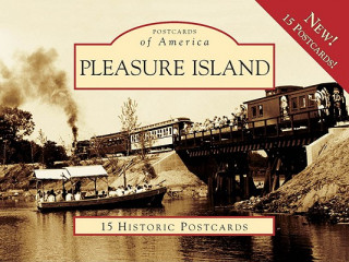 Kniha Pleasure Island Robert McLaughlin