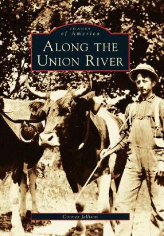 Kniha Along the Union River Connee Jellison