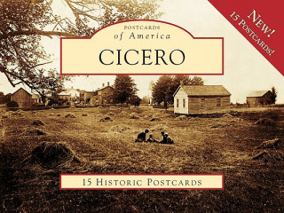 Buch Cicero Thomas B. Mafrici