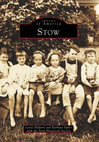 Libro Stow Lewis Halprin