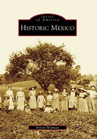 Carte Historic Mexico Bonnie Shumway