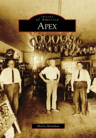 Libro Apex Sherry Monahan