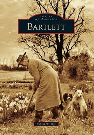 Könyv Bartlett Robert W. Dye