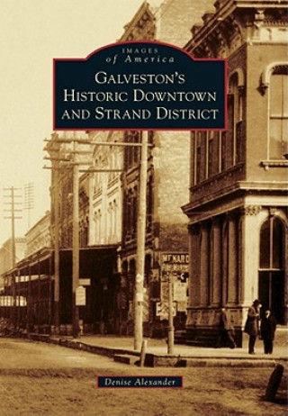 Knjiga Galveston's Historic Downtown and Strand District Denise Alexander