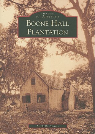 Buch Boone Hall Plantation Michelle Adams