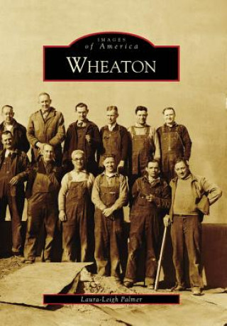 Kniha Wheaton Laura-Leigh Palmer