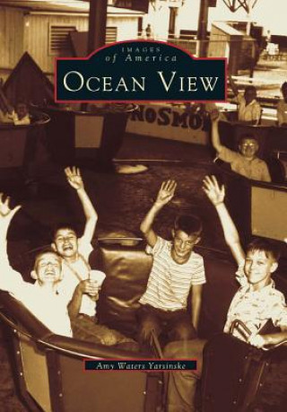 Book Ocean View Amy Waters Yarsinske