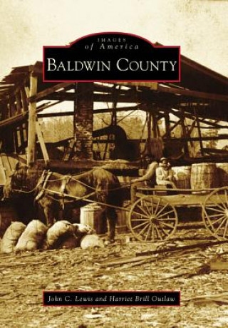 Knjiga Baldwin County John C. Lewis