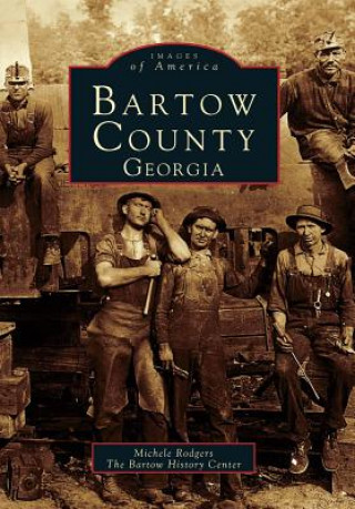 Carte Bartow County, Georgia Michele Rodgers