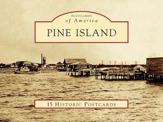 Книга Pine Island Mary Kaye Stevens