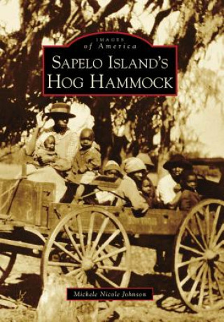 Carte Sapelo Island's Hog Hammock Michele Nicole Johnson