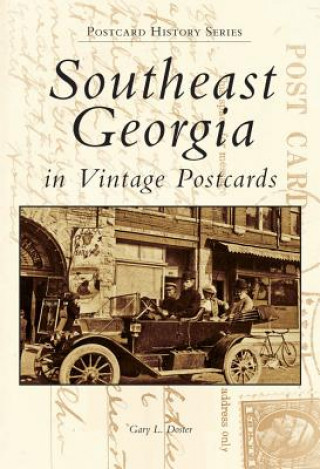 Книга Southeast Georgia in Vintage Postcards Gary L. Doster