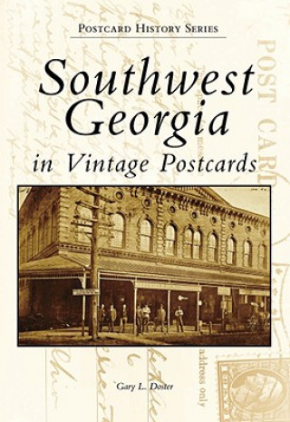 Книга Southwest Georgia in Vintage Postcards Gary L. Doster