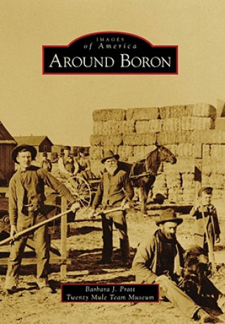 Buch Around Boron Barbara J. Pratt