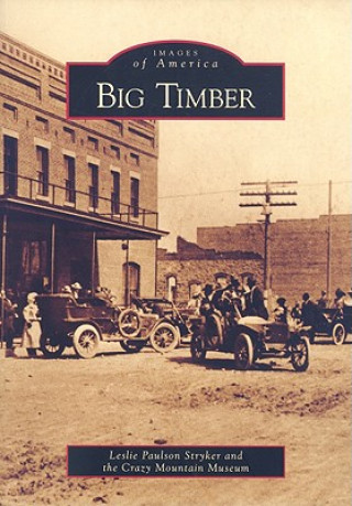 Kniha Big Timber Leslie Paulson Stryker