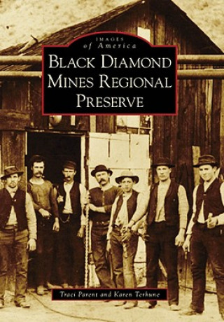 Kniha Black Diamond Mines Regional Preserve Traci Parent