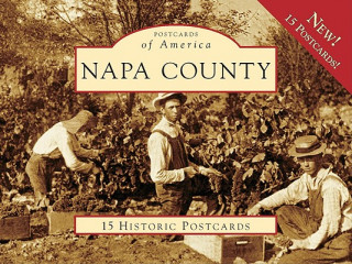 Książka Napa County Todd L. Shulman