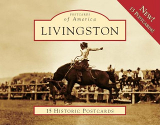Könyv Livingston: 15 Historic Postcards Elizabeth A. Watry