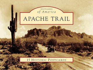 Kniha Apache Trail Richard L. Powers