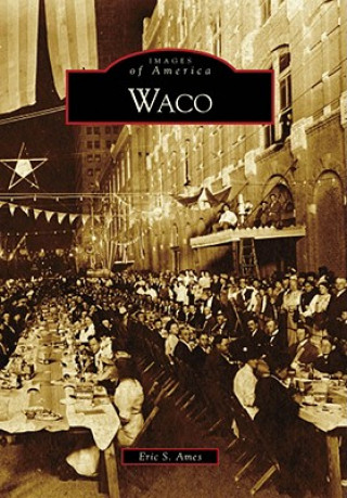 Boek Waco Eric S. Ames