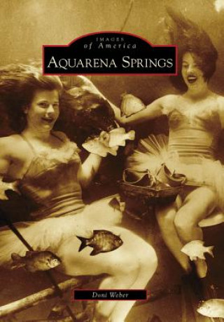 Kniha Aquarena Springs Doni Weber