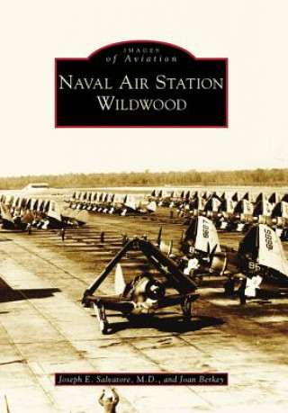 Книга Naval Air Station Wildwood Joan Berkey