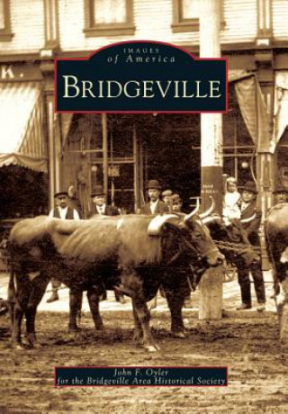 Книга Bridgeville John F. Oyler