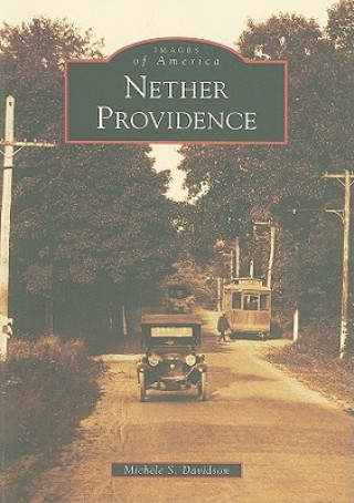 Книга Nether Providence Michele S. Davidson