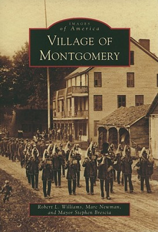 Carte Village of Montgomery Robert L. Williams