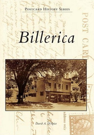 Kniha Billerica David A. D'Apice