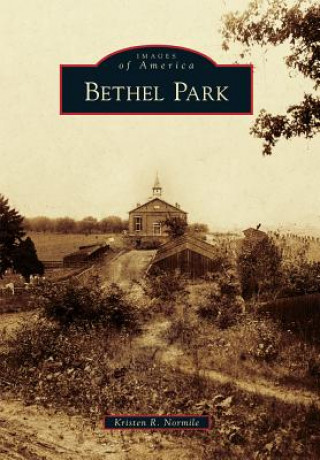 Книга Bethel Park Kristen R. Normile