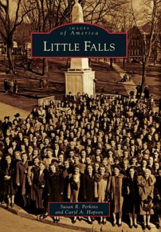Книга Little Falls Susan R. Perkins
