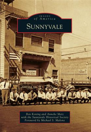 Buch Sunnyvale Ben Koning