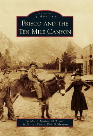 Buch Frisco and the Ten Mile Canyon Sandra F. Mather