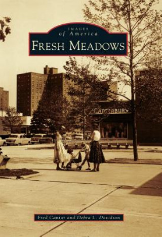 Boek Fresh Meadows Fred Cantor
