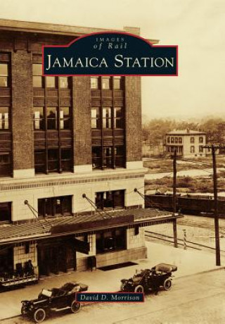 Könyv Jamaica Station David D. Morrison