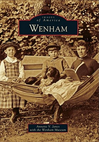 Книга Wenham Annette V. Janes