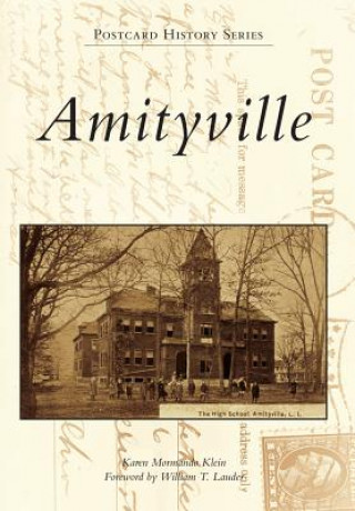 Kniha Amityville Karen Mormando Klein