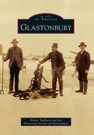 Libro Glastonbury Robert Hubbard