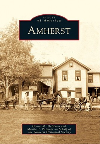 Książka Amherst Donna M. DeBlasio